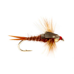 Tunghead Stonefly