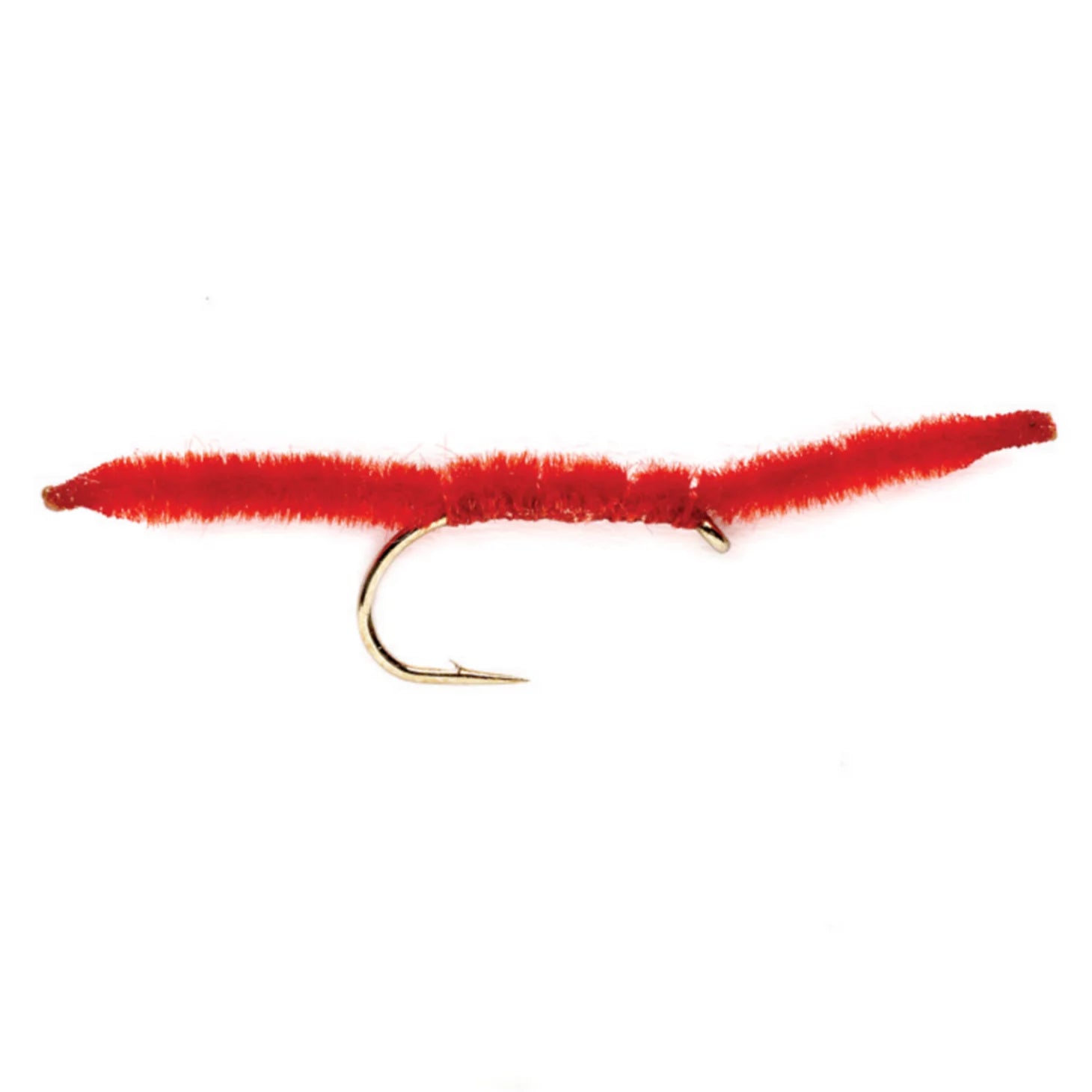 Vernille San Juan Worm