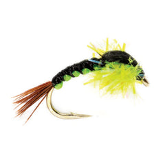 Steelhead Hammer