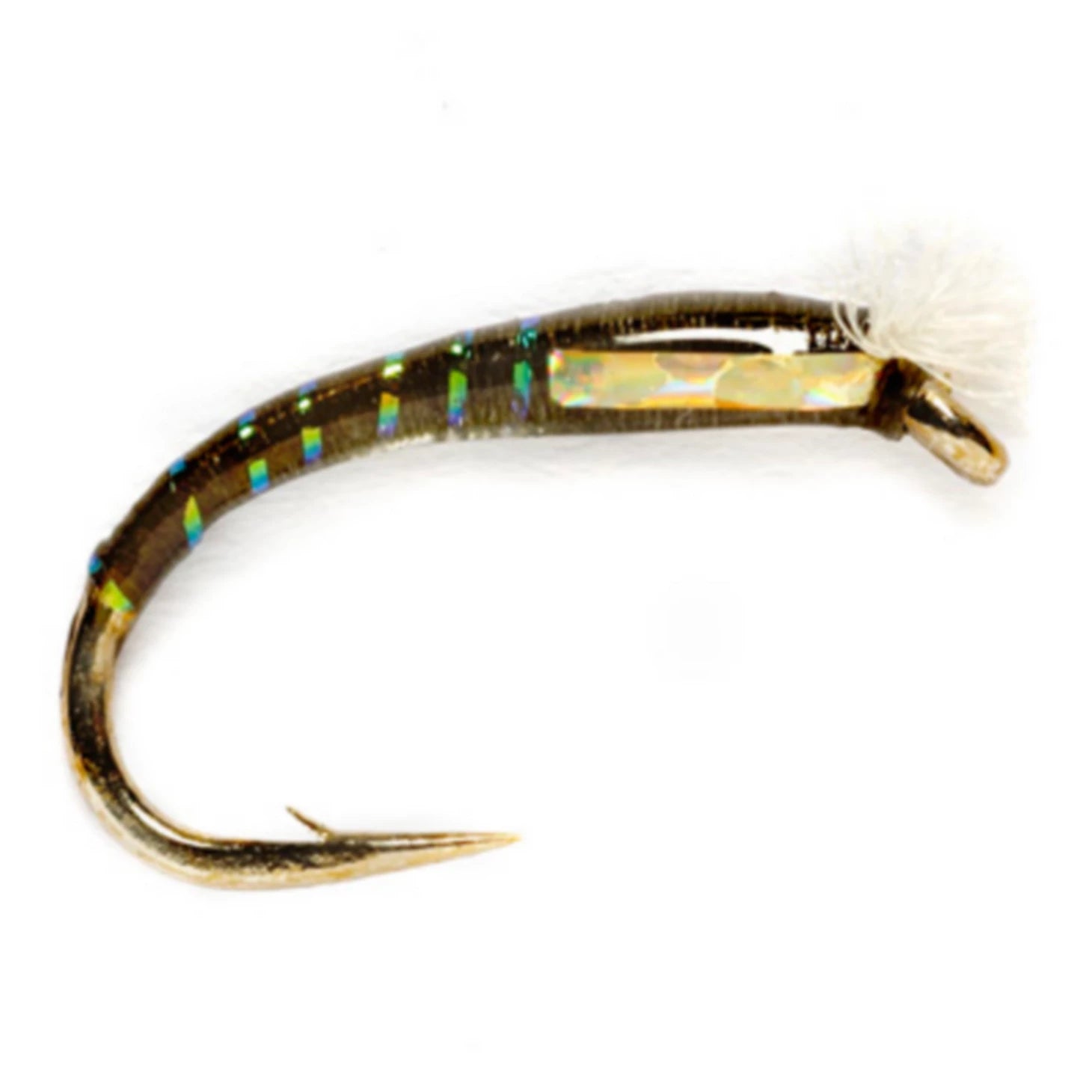 3D Glass Chironomid