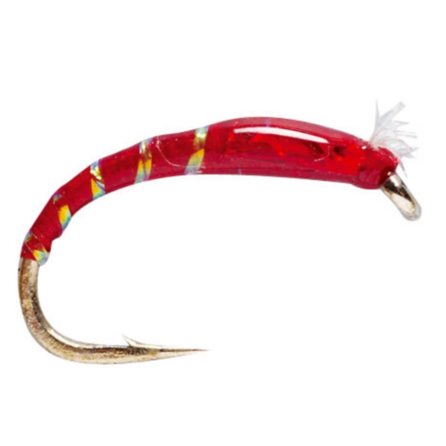 3D Glass Chironomid