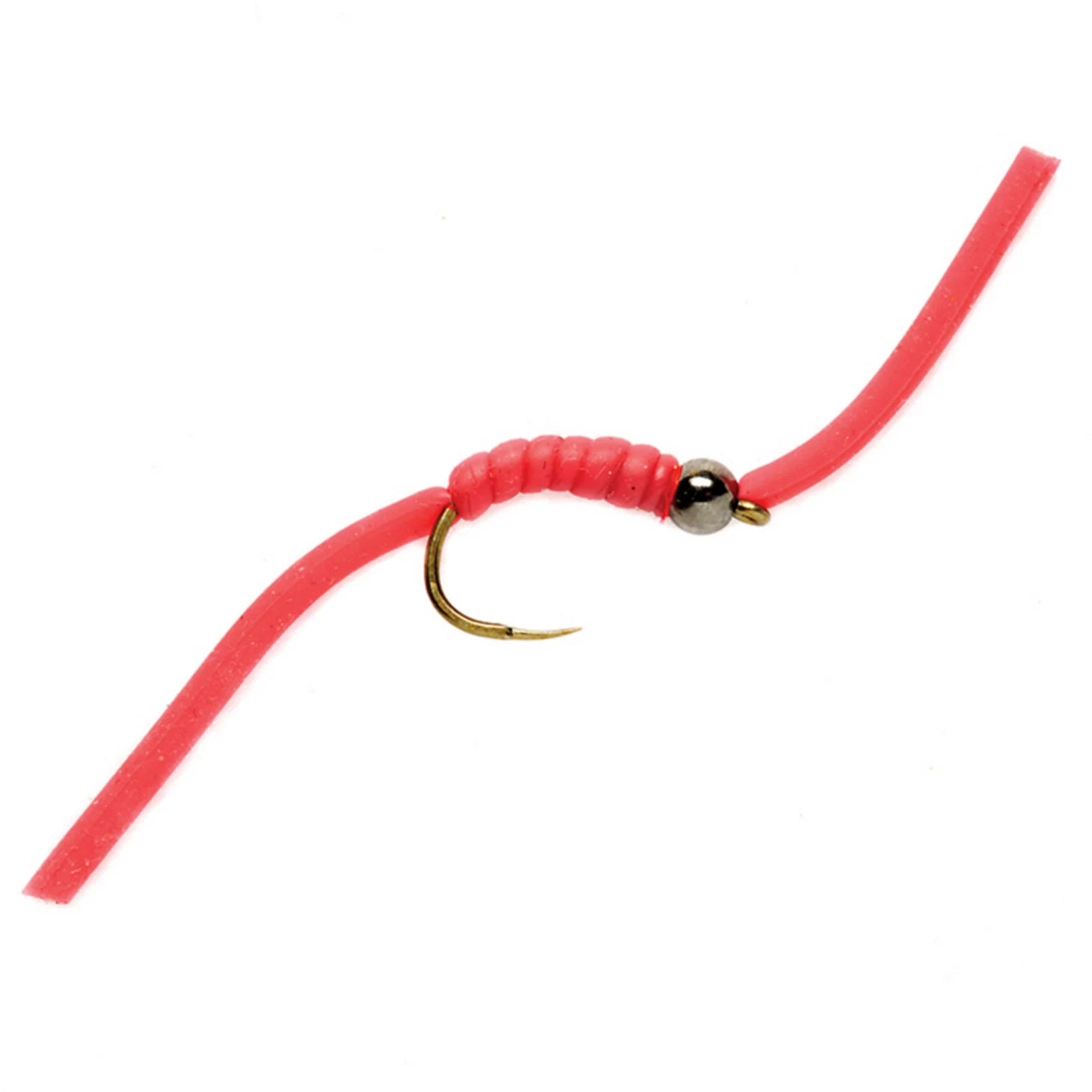 The Worm