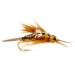 OE Stonefly Nymph