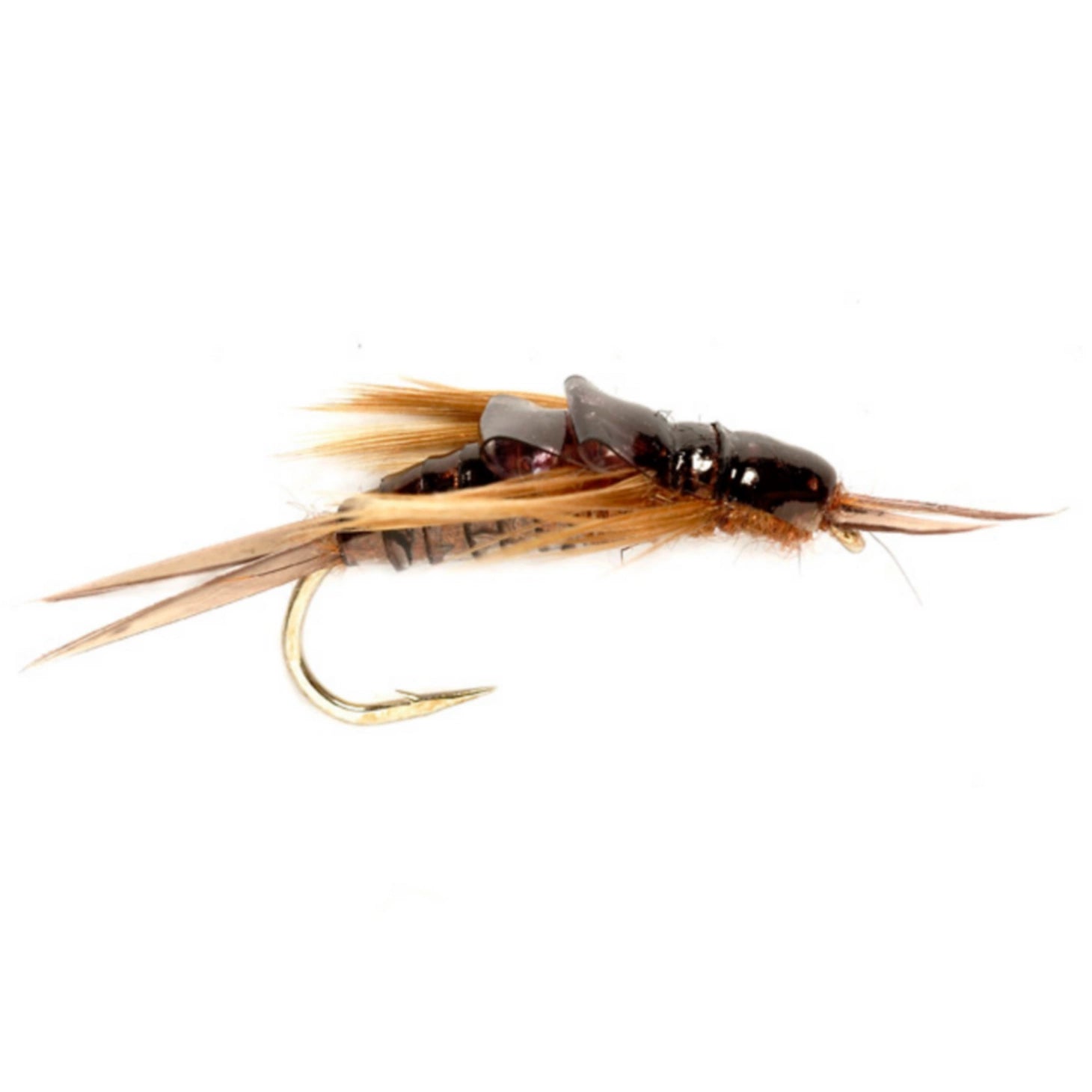 OE Stonefly Nymph