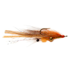 Koga's Bonefish Shrimp