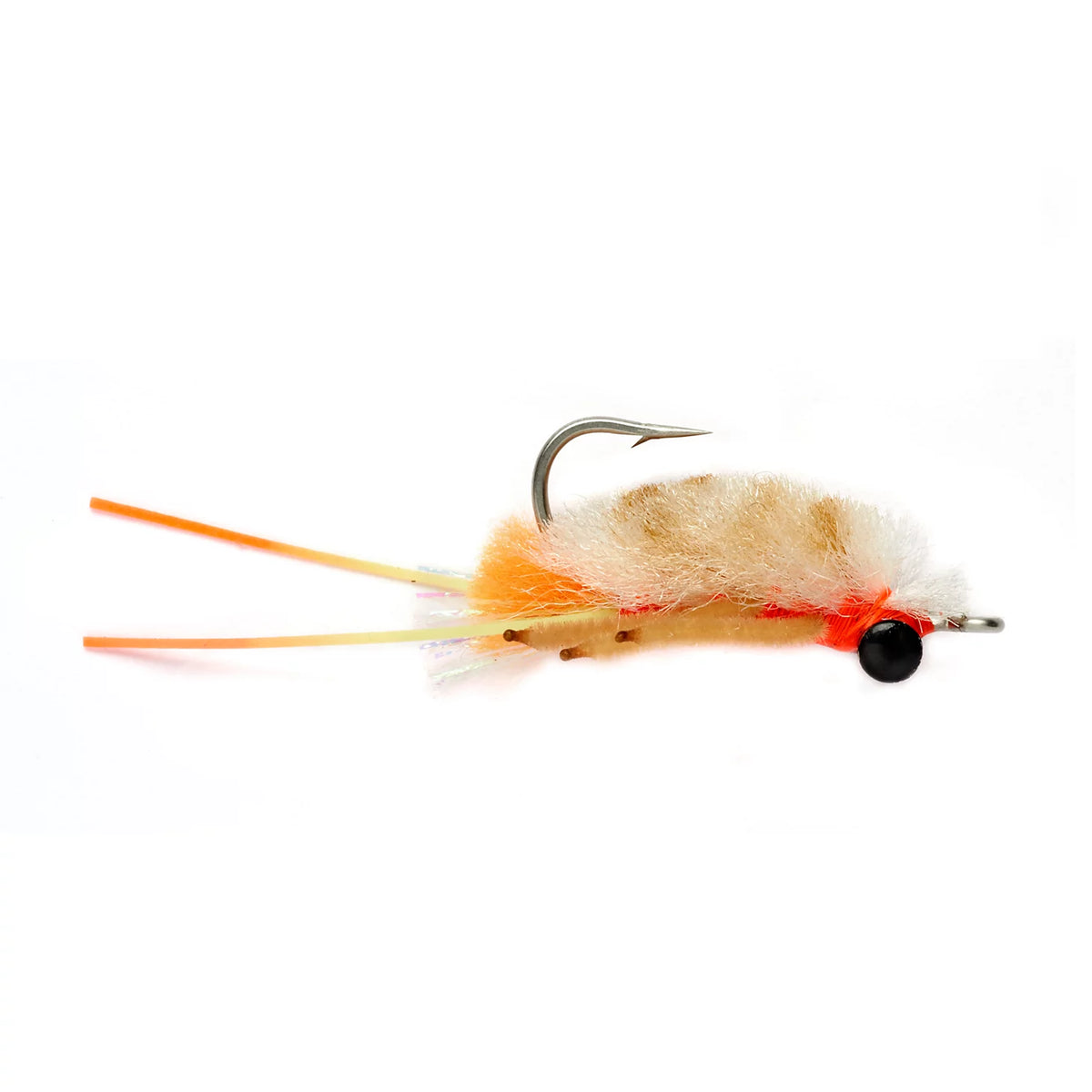 Vlahos' Marbled Sand Flea
