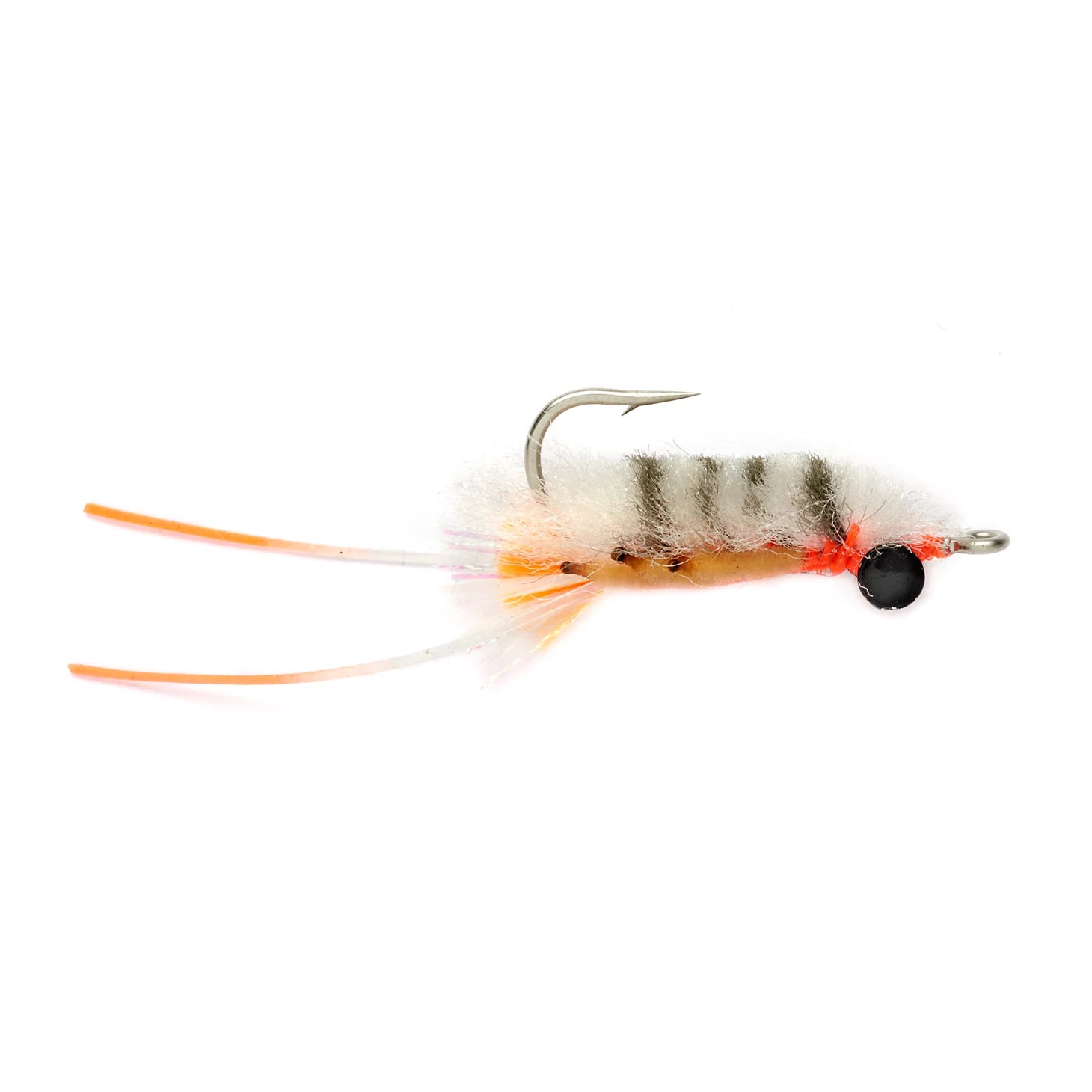 Vlahos' Marbled Sand Flea