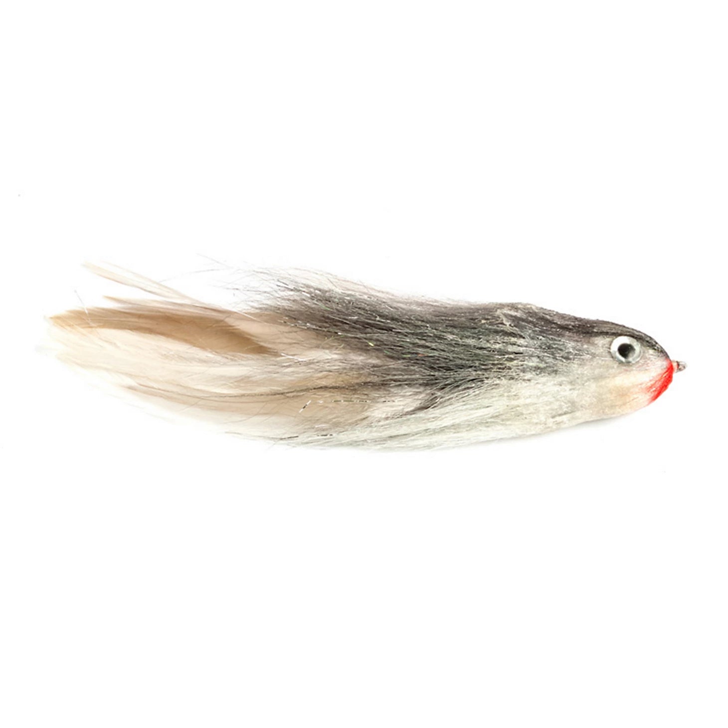 Joe's Flathead Shad