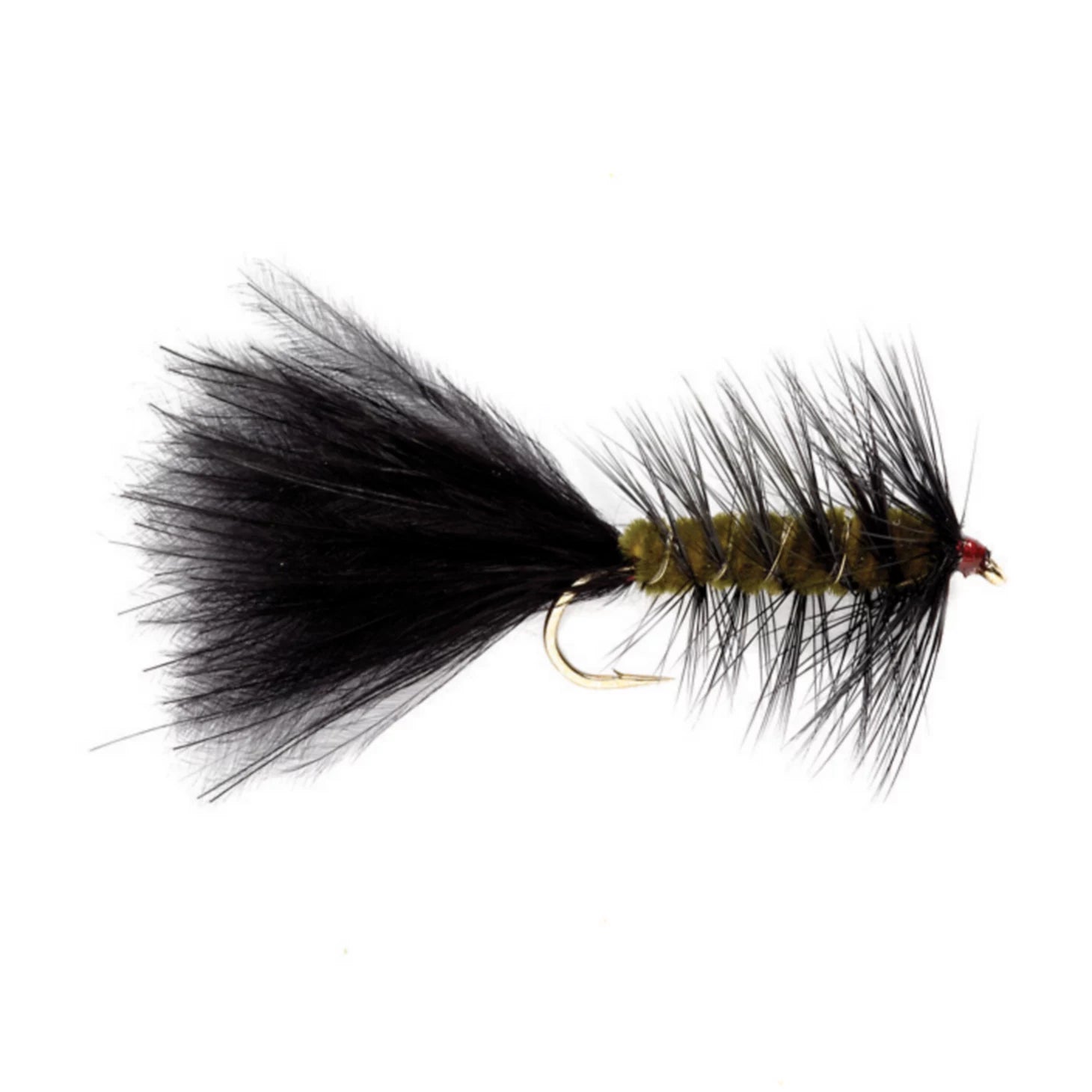 Woolly Bugger