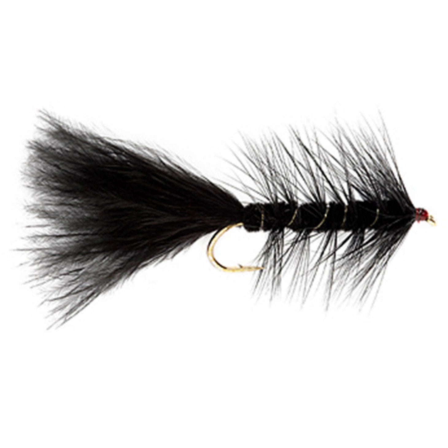 Woolly Bugger