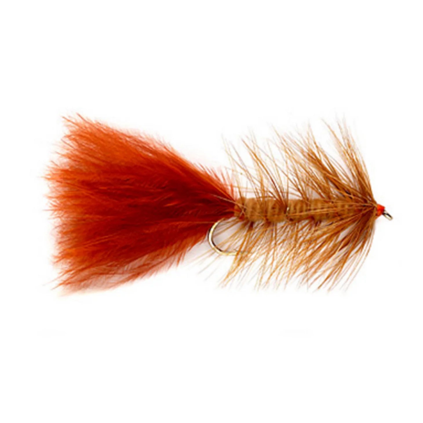 Woolly Bugger