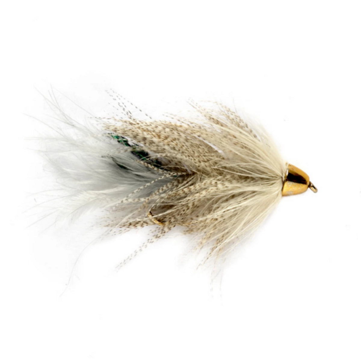 Moto's Minnow