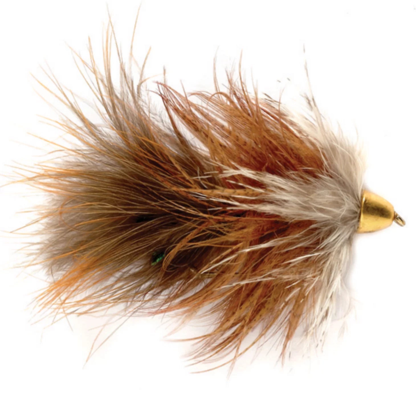 Moto's Minnow