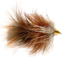 Moto's Minnow