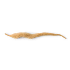 Mangum's Dragon Tail