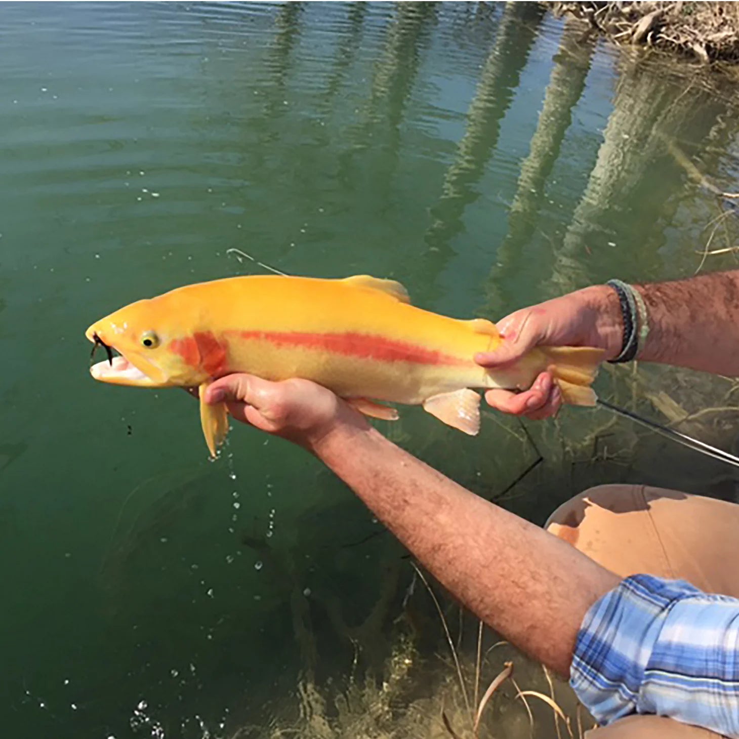 Boerne, Texas Hill Country Fly Fishing School Hosted By Joshua Creek Ranch
