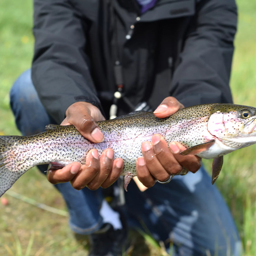 Clyde, Ohio Fly Fishing School