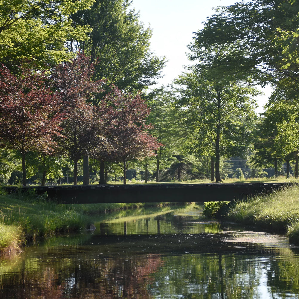 Clyde, Ohio Fly Fishing School
