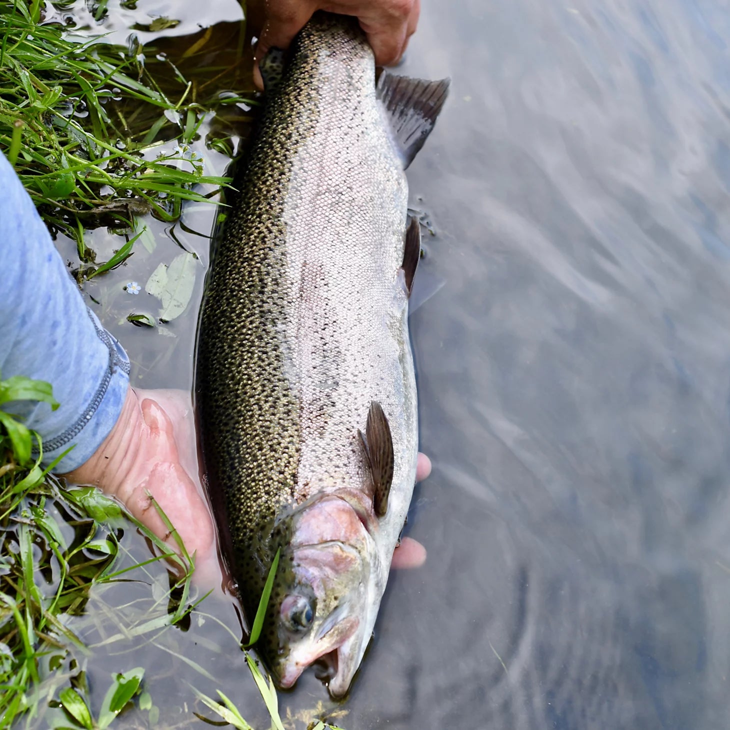 Clyde, Ohio Fly Fishing School