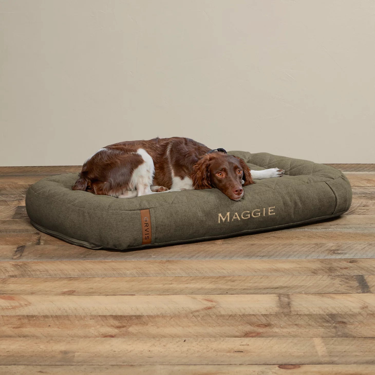 Memory Foam Lounger Dog Bed