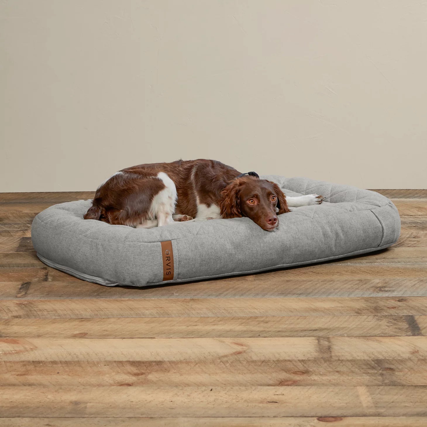 Memory Foam Lounger Dog Bed