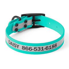 Orvis Waterproof Dog Collar