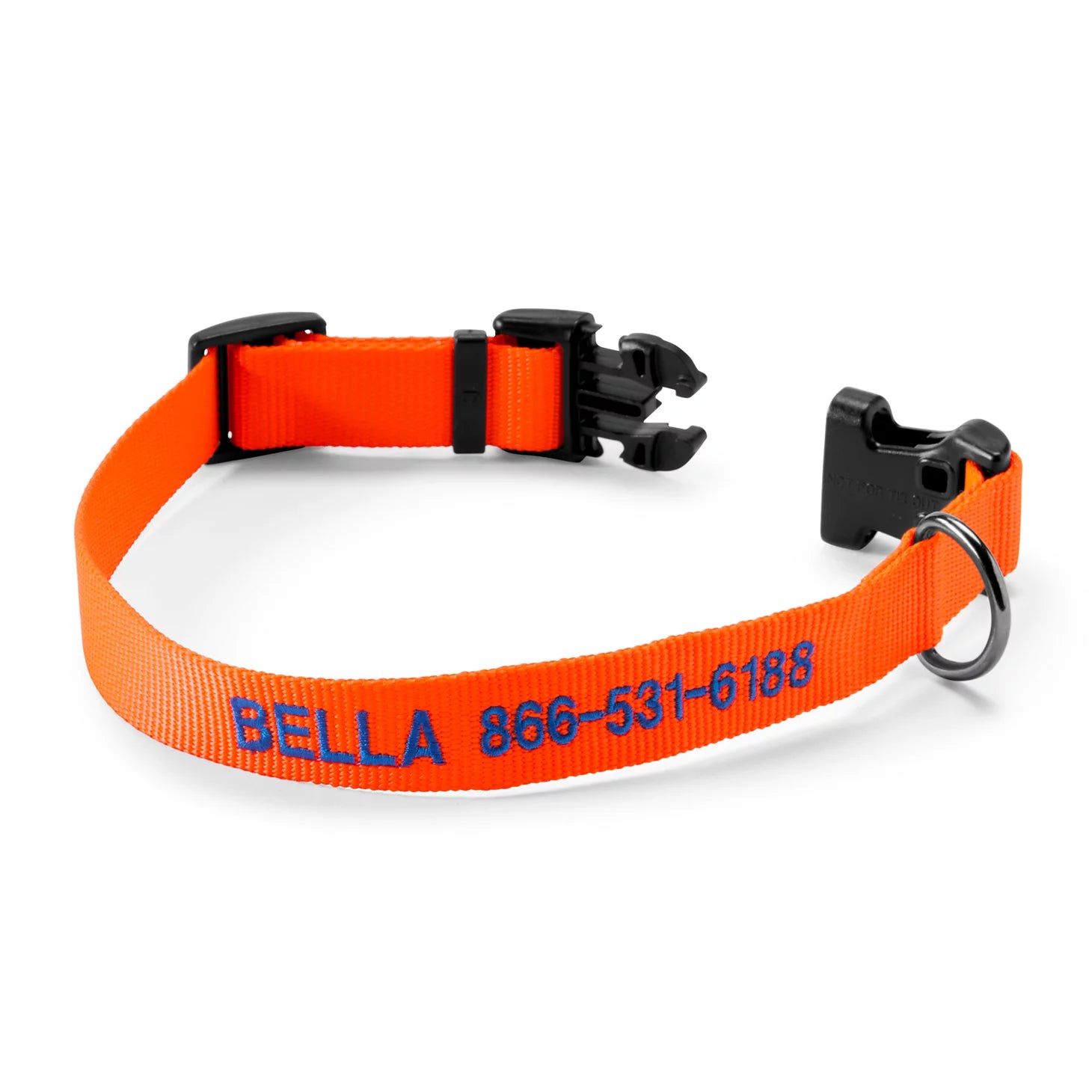 Personalized Side-Release Buckle Collar