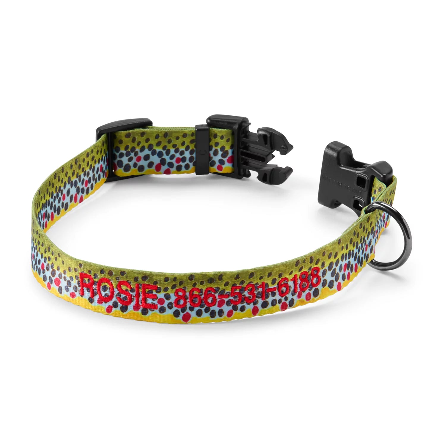 Personalized Side-Release Buckle Collar