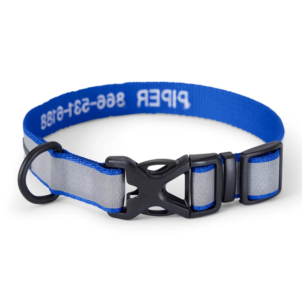 Orvis Reflective Collar & Leash Bundle