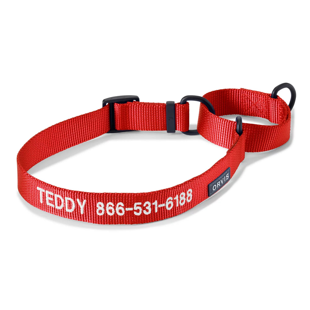 Orvis Martingale Collar & Leash Bundle