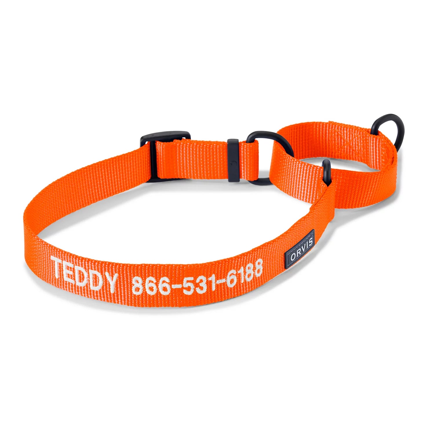 Orvis Martingale Collar & Leash Bundle