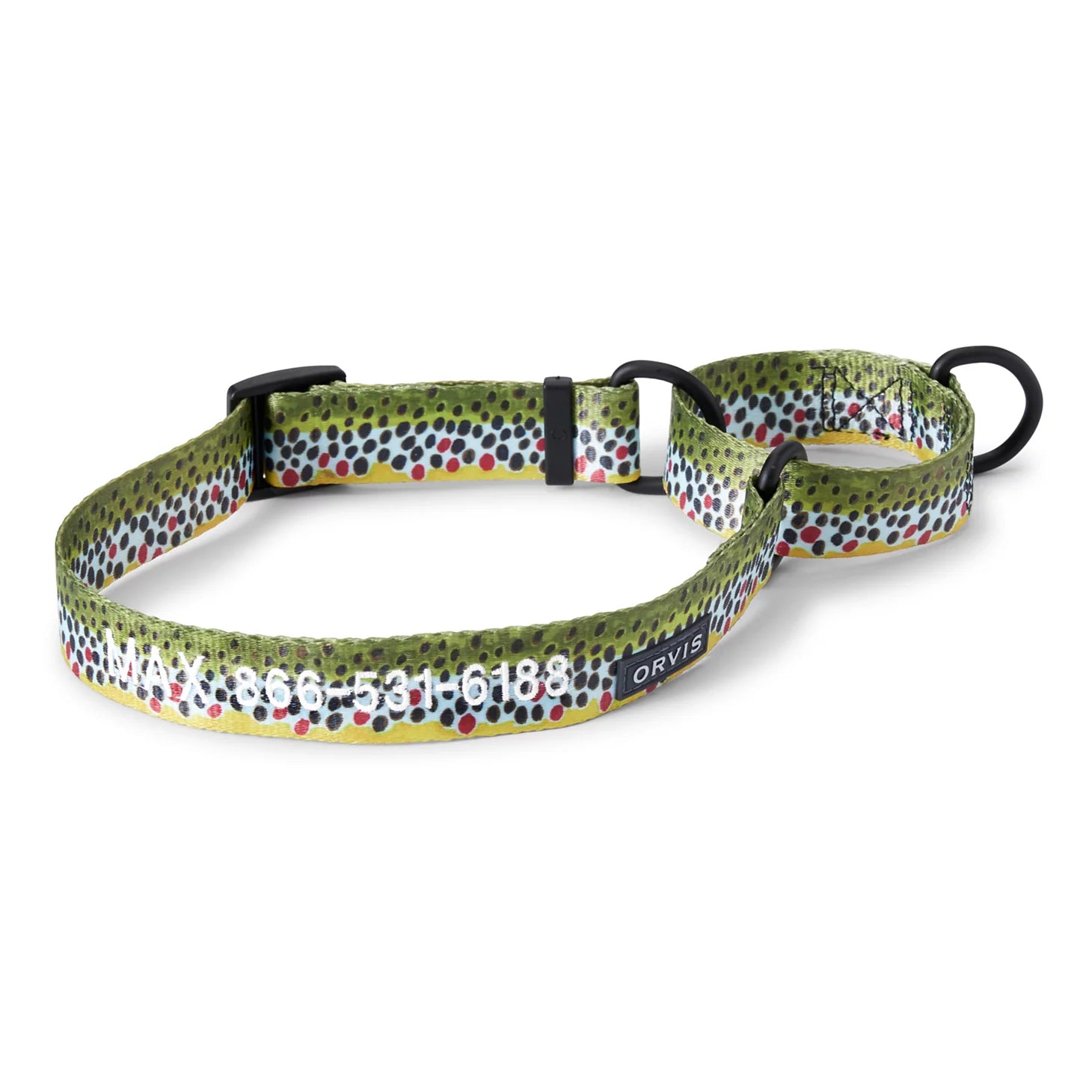 Orvis Martingale Collar & Leash Bundle