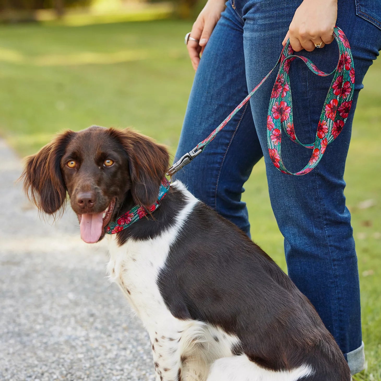 Orvis x Fishe® Wear Collar