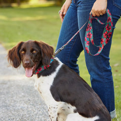 Orvis x Fishe® Wear Dog Leash