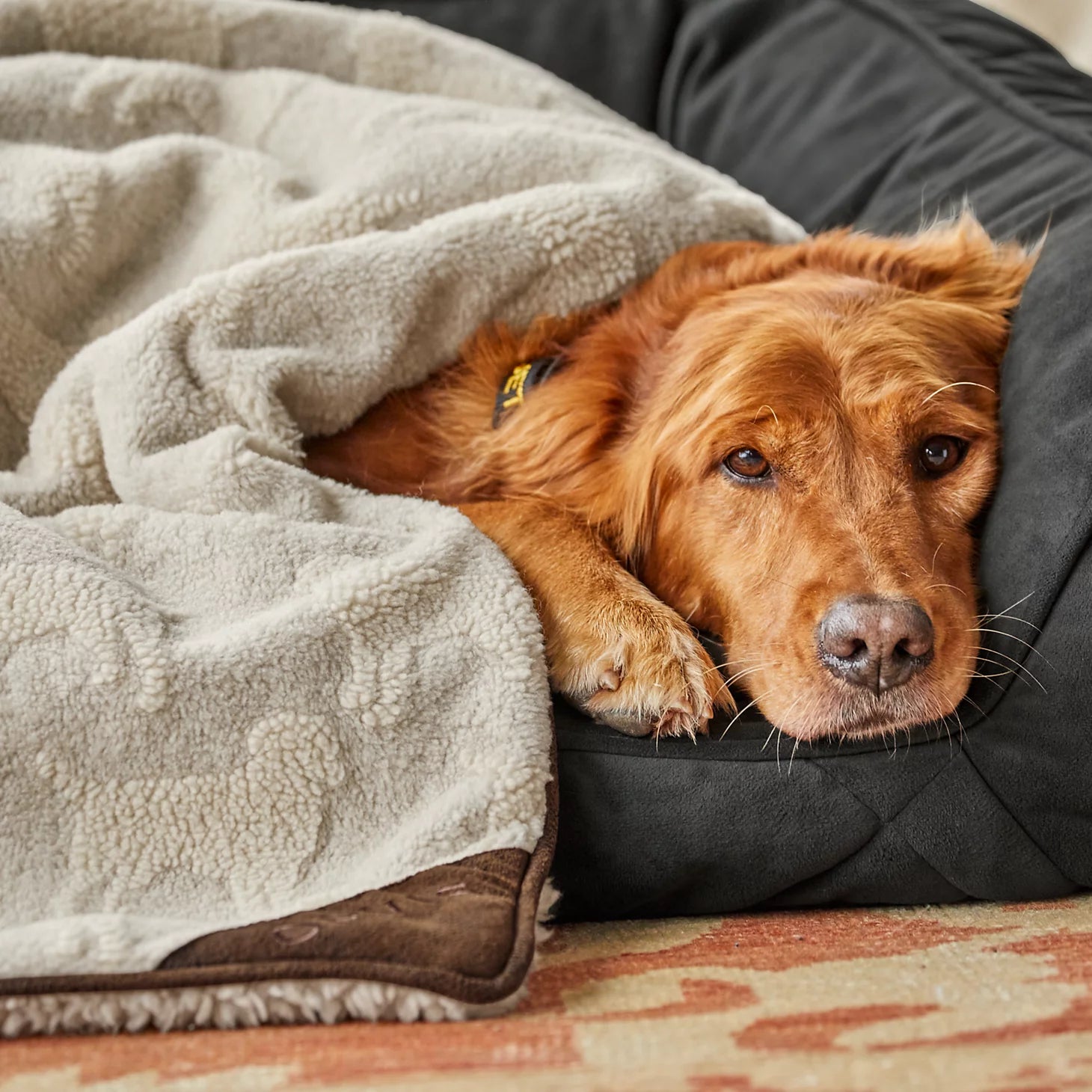 Embossed Sherpa Throw