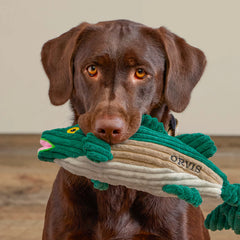 Animal Squeaky Toys