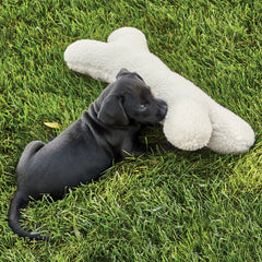 Fleece Dog Bone