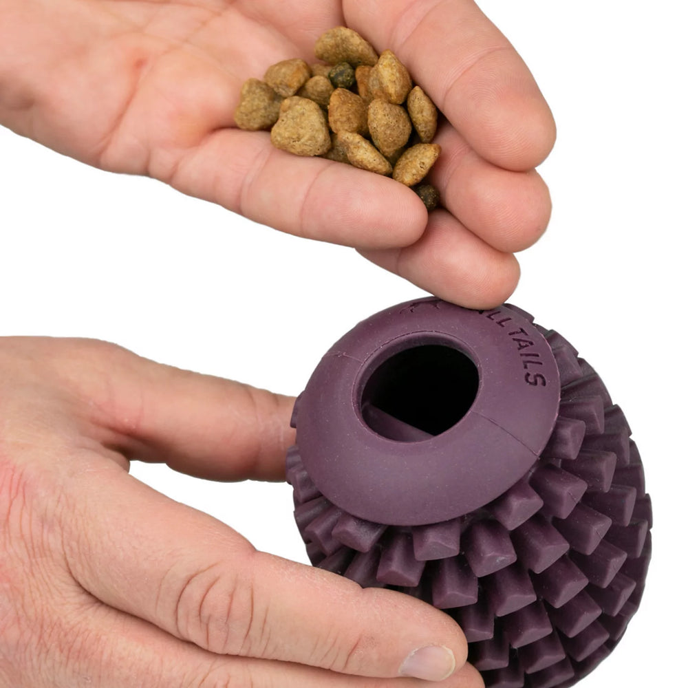Pinecone Reward Dog Toy