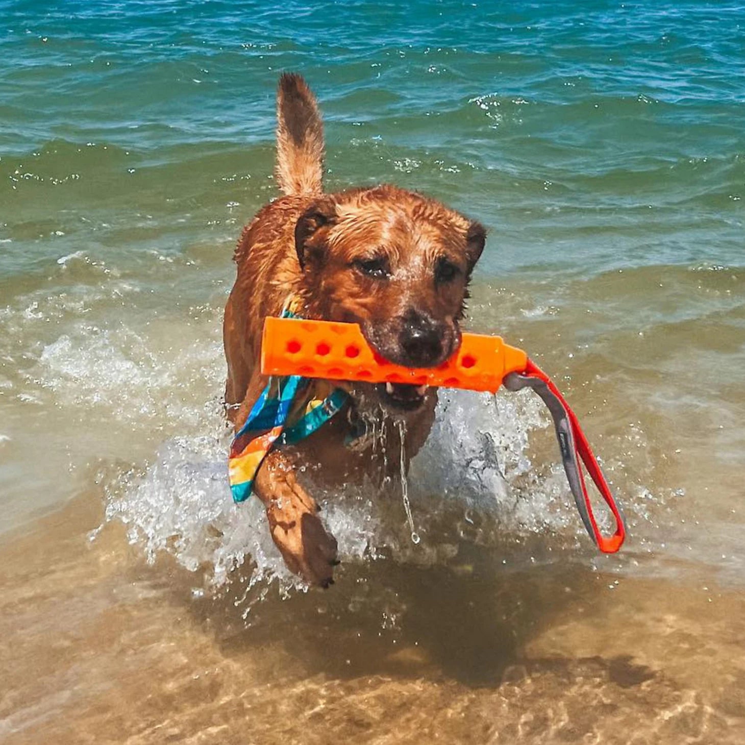 Hydro Floating Dog-Training Bumper