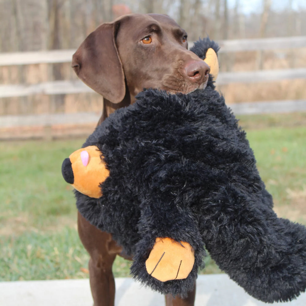 Black Bear Rope Dog Toy