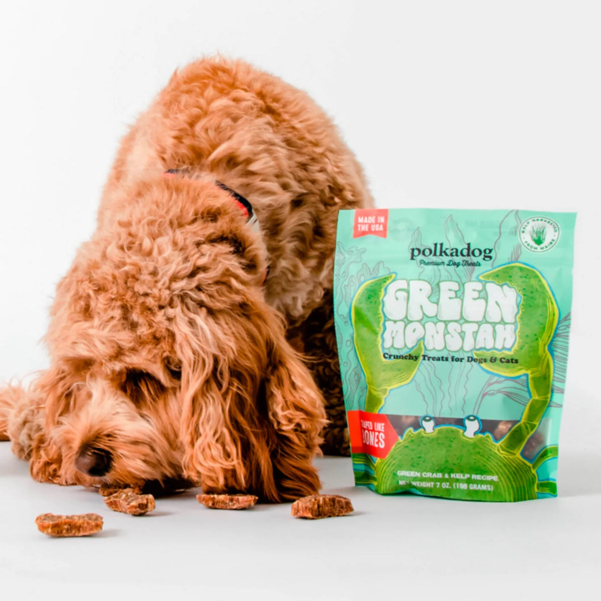 Polkadog Green Monstah Bones