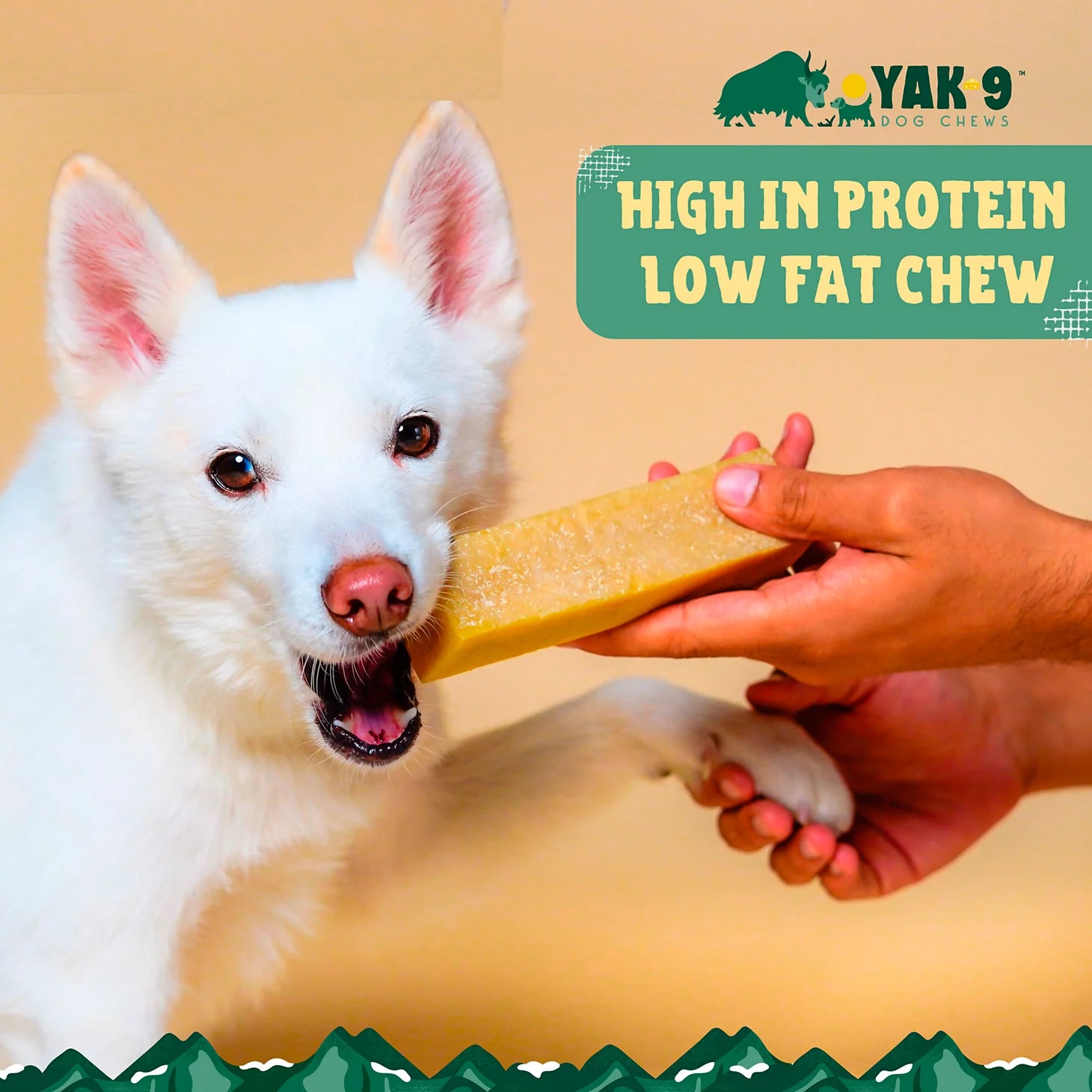 Yak-9 Dog Chew - Single