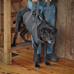 Dog Lift